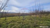 Teren extravilan 10,791mp Falticeni / Strada DJ209A, Opri... 