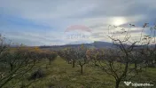 Teren extravilan 10,791mp Falticeni / Strada DJ209A, Opri... 