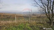 Teren extravilan 10,791mp Falticeni / Strada DJ209A, Opri... 