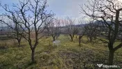 Teren extravilan 10,791mp Falticeni / Strada DJ209A, Opri... 