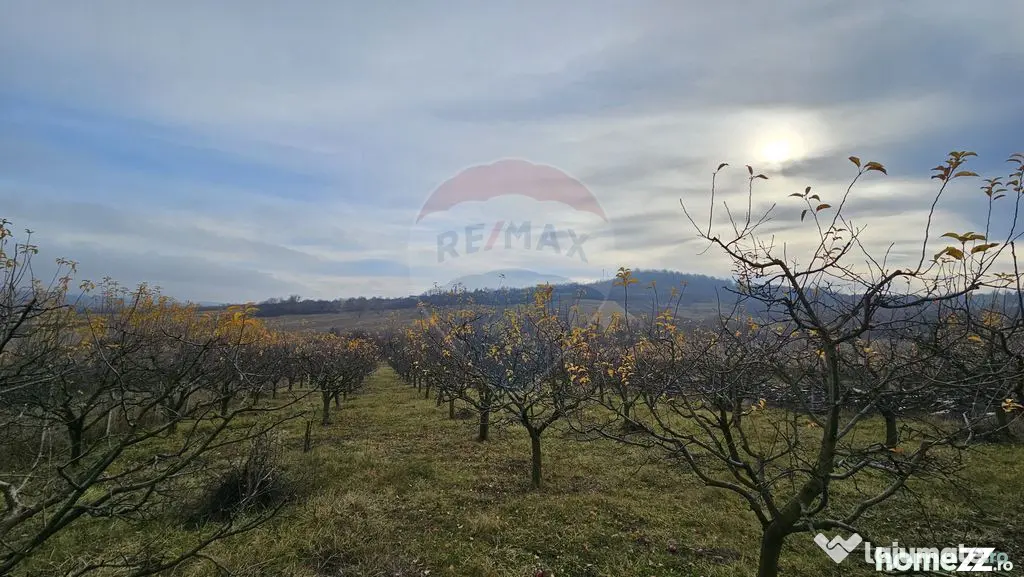 Teren extravilan 10,791mp Falticeni / Strada DJ209A, Opri...