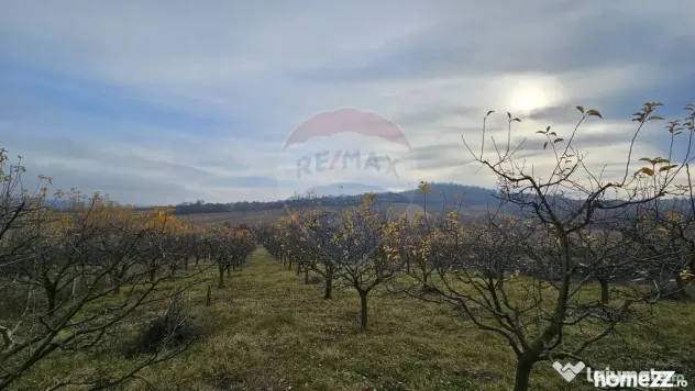Teren extravilan 10,791mp Falticeni / Strada DJ209A, Opri...