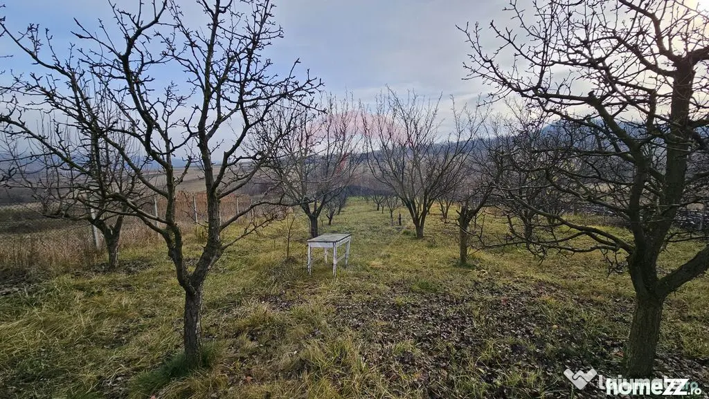Teren extravilan 10,791mp Falticeni / Strada DJ209A, Opri...