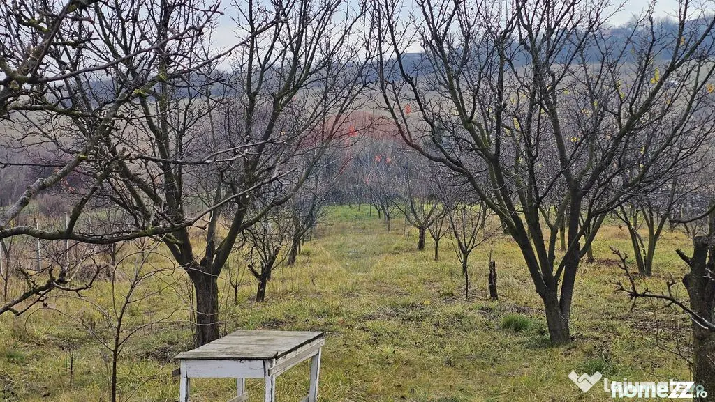Teren extravilan 10,791mp Falticeni / Strada DJ209A, Opri...