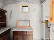 Proprietate cu două case și teren generos, cu toate uti... 