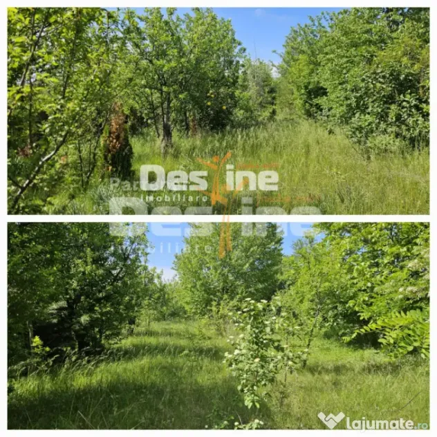 Tomesti-Chicerea, teren intravilan 3523 mp