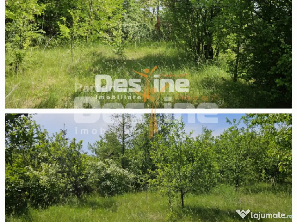 Tomesti-Chicerea, teren intravilan 3523 mp