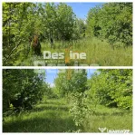 Tomesti-Chicerea, teren intravilan 3523 mp