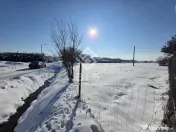 Teren cu suprafata 5300 mp intravilan 