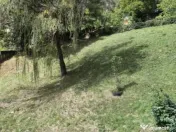 Apartament 3 camere, decomandat - zona Racadau 