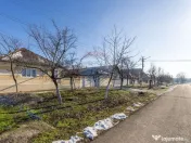 Gospodarie autentică bănățeană, cu teren generos și... 