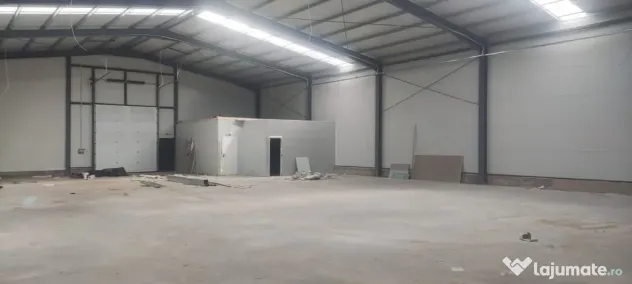 2 hale noi 2025 Afumati- Moara Domneasca