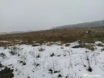 Teren 1000 mp, Cârcea, front 11,57m