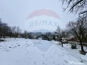 Casa cu 2 camere si teren 4887mp de vanzare in Dabaca 