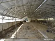 Bogati - Glimbocel, Ferma Zootehnica, Cladiri 1996 mp, Te... 