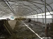 Bogati - Glimbocel, Ferma Zootehnica, Cladiri 1996 mp, Te... 