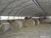 Bogati - Glimbocel, Ferma Zootehnica, Cladiri 1996 mp, Te... 