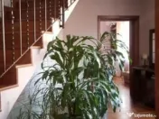 Ideal firma:Matei Voievod-Parcul Ronda 