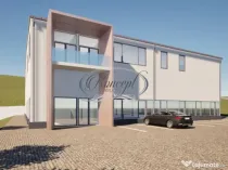 Teren industrial cu autorizatie hala, Valea Chintaului