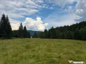 PARCELE DE VÂNZARE, pe malul râului BÂSCA, COMANDAU, C... 