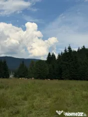 PARCELE DE VÂNZARE, pe malul râului BÂSCA, COMANDAU, C... 
