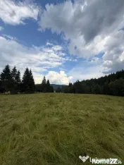 PARCELE DE VÂNZARE, pe malul râului BÂSCA, COMANDAU, C... 