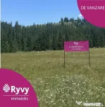 PARCELE DE VÂNZARE, pe malul râului BÂSCA, COMANDAU, C...