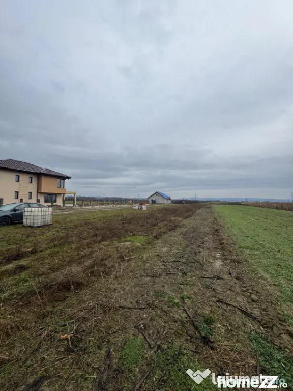 Teren Mocira 50 ari | Plan drept | Utilități aproape | Zon - Mocira (Maramures)