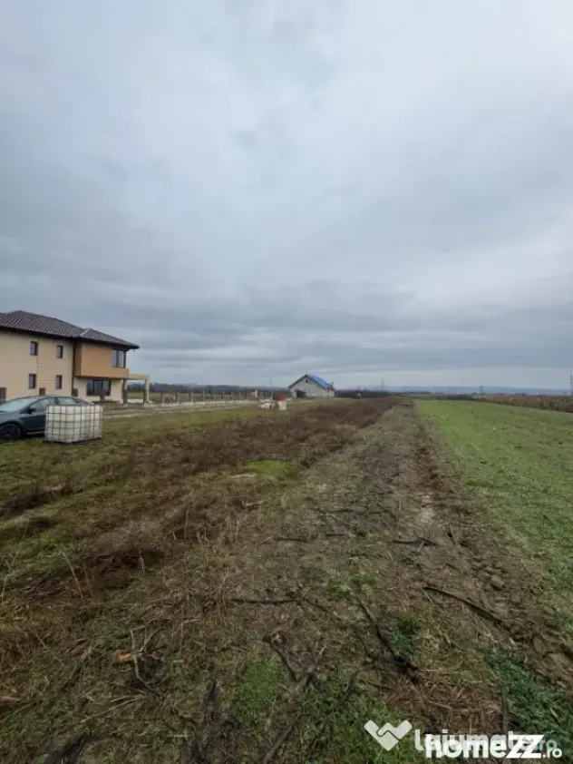 Teren Mocira 50 ari | Plan drept | Utilități aproape | Zon - Mocira (Maramures)