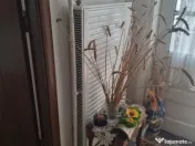 CASA DE VANZARE IN CALARASI 