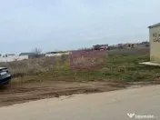 Teren Domnesti- Drumul Targului. 