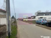 Teren Domnesti- Drumul Targului.
