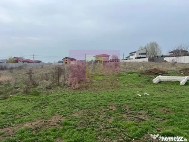 Teren Domnesti- Drumul Targului. - Domnesti (Bucuresti-Ilfov)
