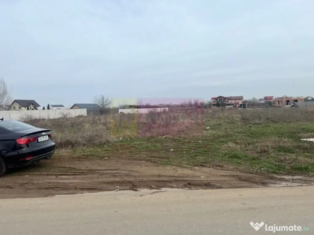 Teren Domnesti- Drumul Targului.