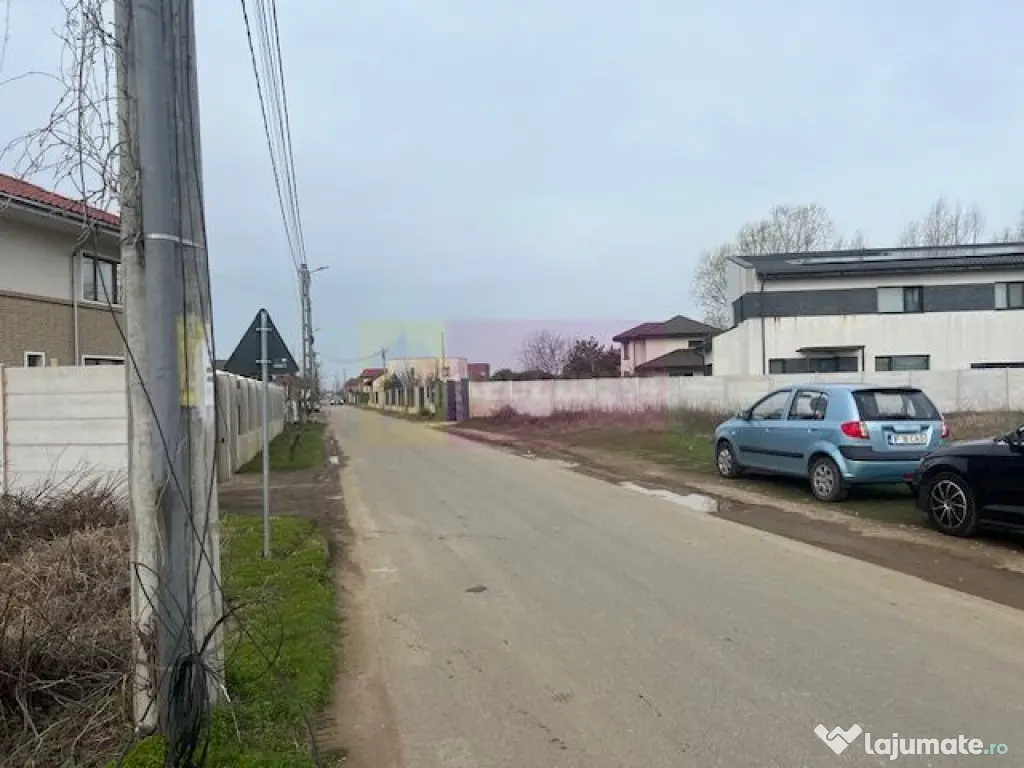 Teren Domnesti- Drumul Targului.