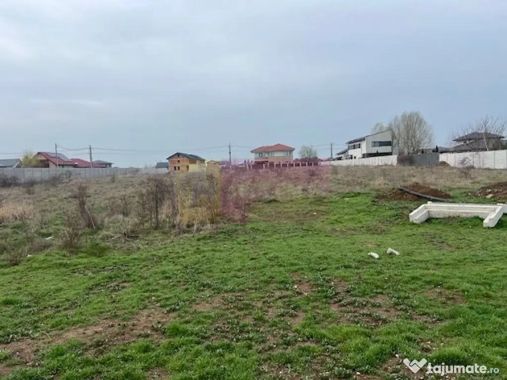 Teren Domnesti- Drumul Targului.