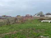 Teren Domnesti- Drumul Targului. 