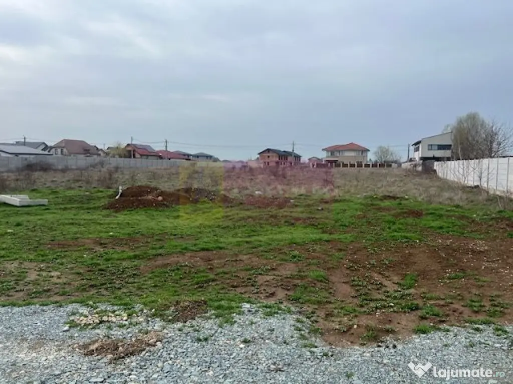 Teren Domnesti- Drumul Targului.