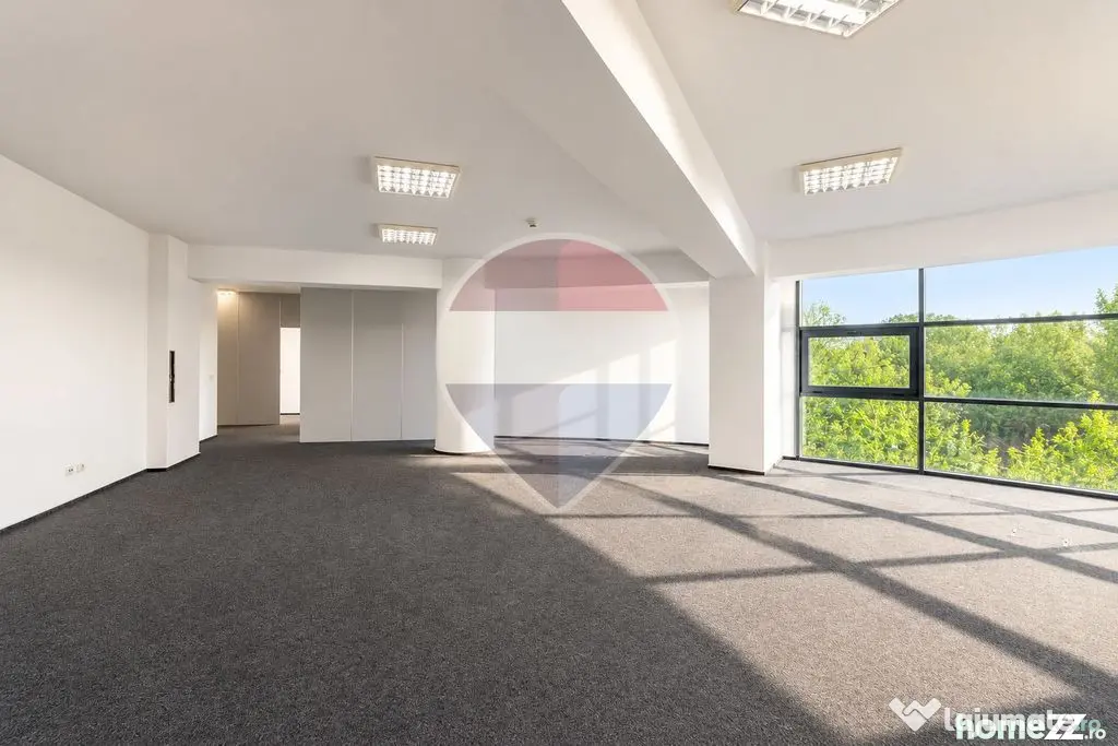 Birouri clasa A | Lumină naturală și vedere spre Parcu...