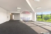 Birouri clasa A | Lumină naturală și vedere spre Parcu... 