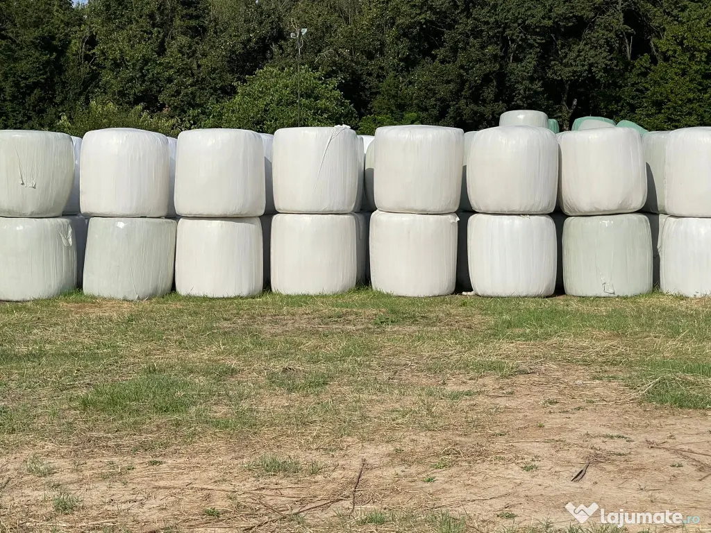 Baloti lucerna in Botosani infoliati (semifân) și fan eco.