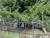 EXCLUSIVITATE | COMISION 0% | Casă 479 mp – ideală cl... 