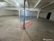 Hala zona Bariera Valcii 300 mp 