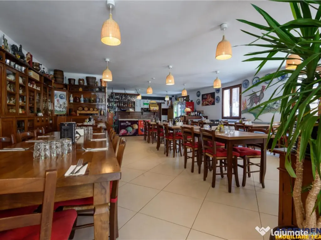 Langa Castelul Bran: Pensiune restaurant transfer afacer