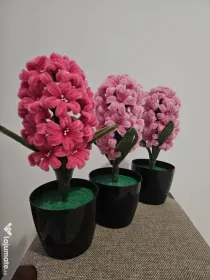 Zambile Sărmă Plușată