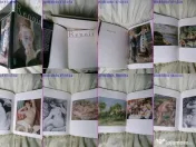 Renoir album de arta rar 
