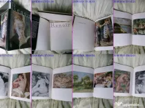 Renoir album de arta rar