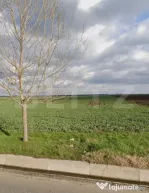 Teren 15.000 mp, 28 parcele, Peugeot/Pielesti