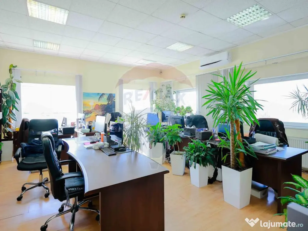 De vânzare- Proprietate industrială modernizată - Cale...