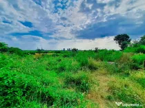 Teren intravilan Bradu Arges